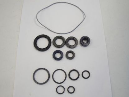 Picture of Oil seal kit Skyteam 50cc Cobra Ace 