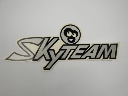 Afbeeldingen van Tanktransfer sticker Skyteam orig.