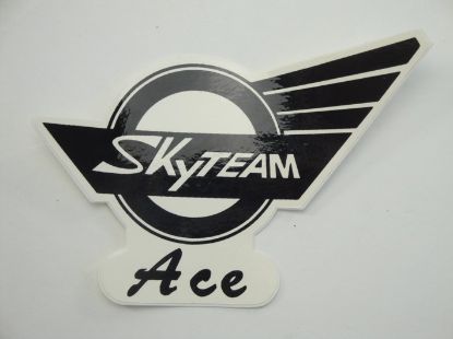 Afbeeldingen van Transfer Skyteam Ace tank links