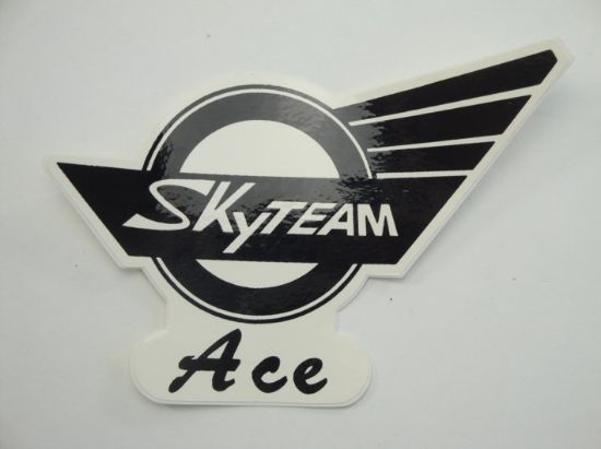 Picture of Transfer fueltank LH Skyteam Ace 