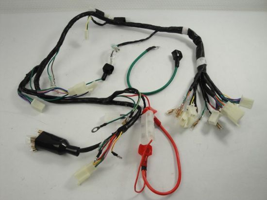 Picture of Wire harness Skyteam Skymini Euro4 model