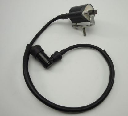 Picture of Ignitioncoil Skymini Skyteam Monkey 