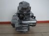 Picture of Engine Skyteam Ace 125cc grey