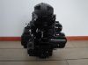 Picture of Engine Skyteam Ace 125cc black