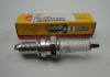 Picture of Spark plug DPR6EA-9 NGK