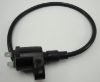 Picture of Ignition coil Skymax Skyteam Dax model